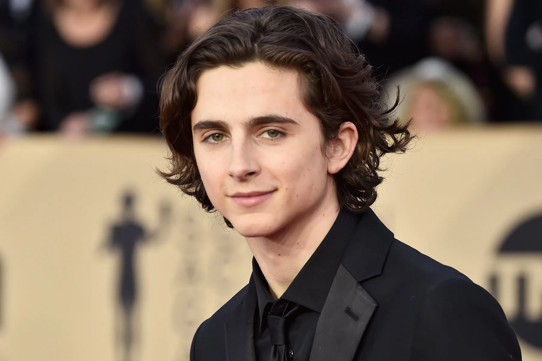 Las 10 mejores películas de Timothée Chalamet, según el IMDb